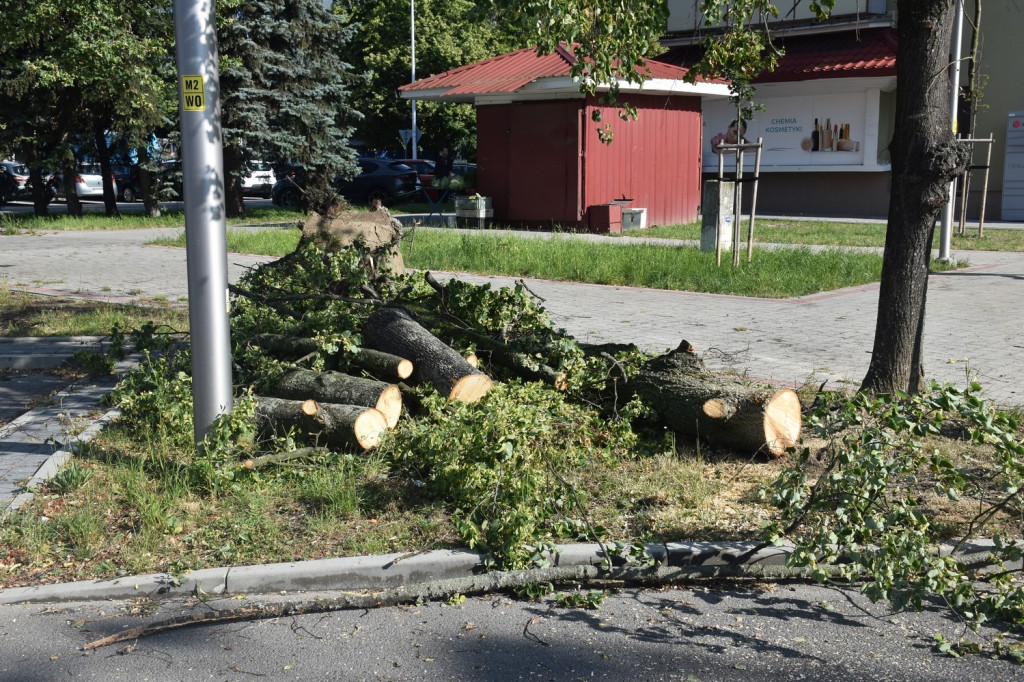 Skutki burzy w Tarnobrzegu