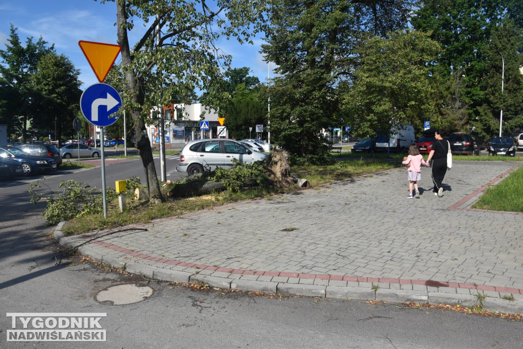 Skutki burzy w Tarnobrzegu