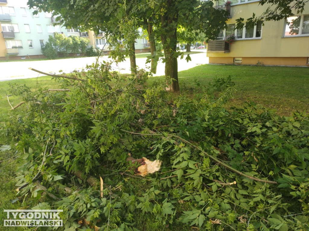 Skutki burzy w Tarnobrzegu