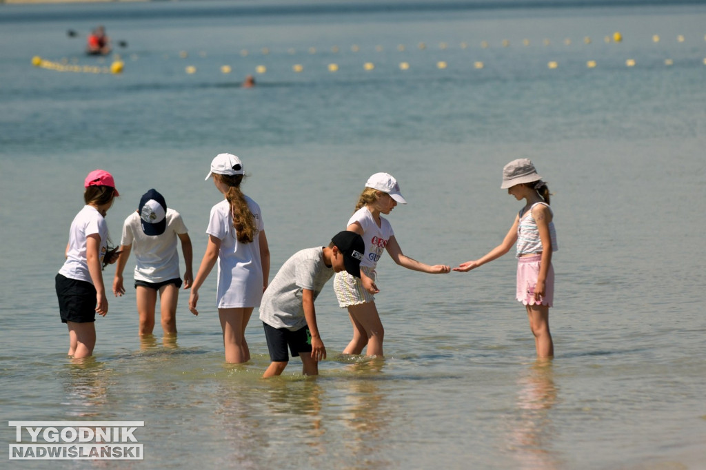 Ćwiczenia i piknik nad Jeziorem Tarnobrzeskim