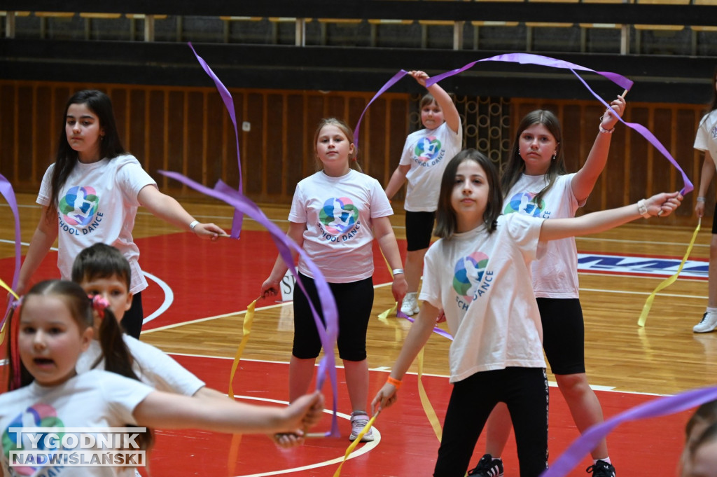 Gala School Dance Tarnobrzeg