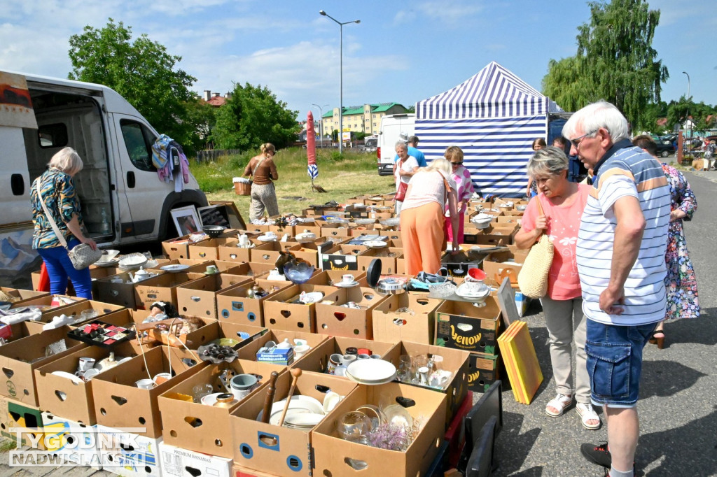 Pchli Targ w Tarnobrzegu - czerwiec 2025