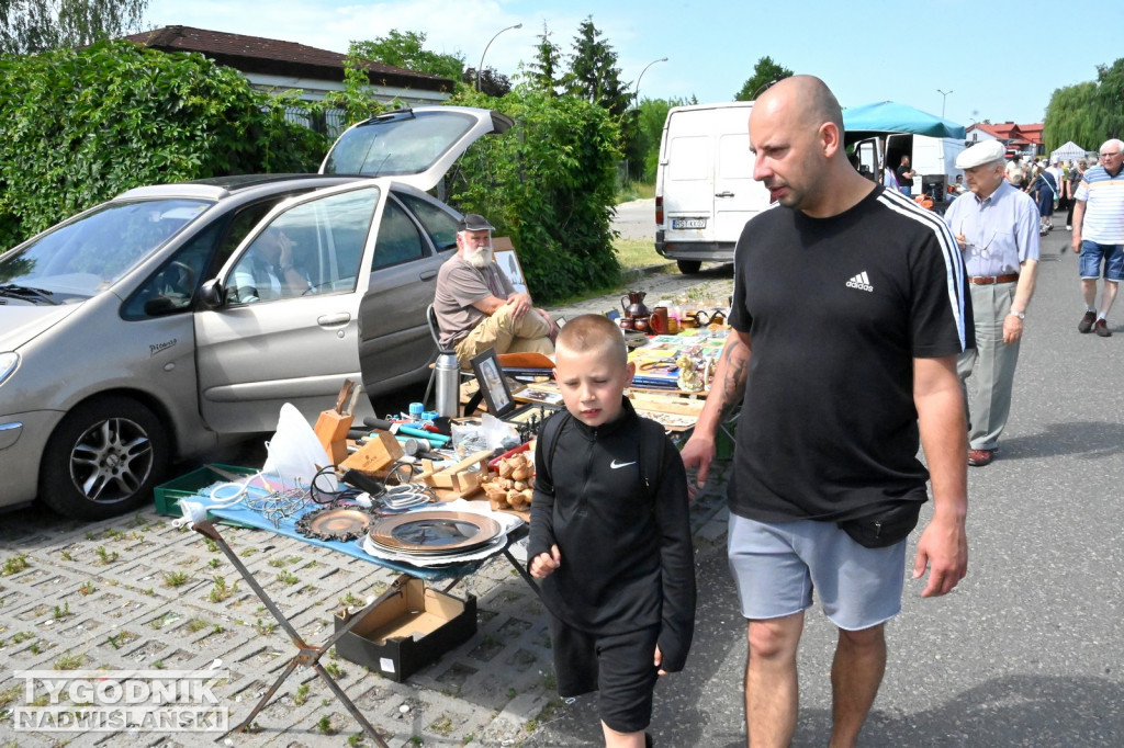 Pchli Targ w Tarnobrzegu - czerwiec 2025