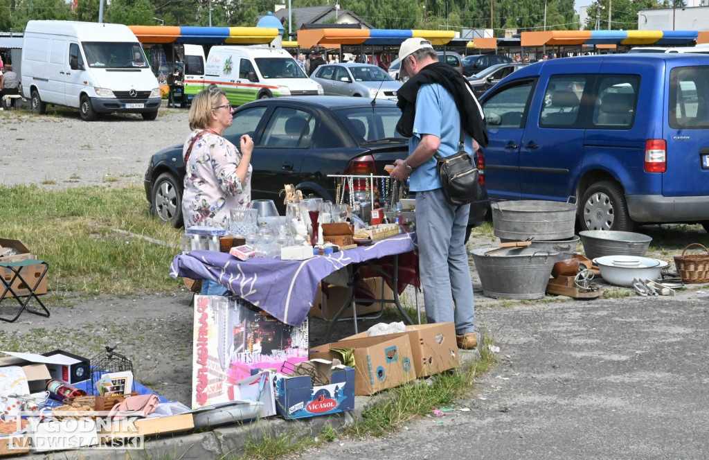 Pchli Targ w Tarnobrzegu - czerwiec 2025