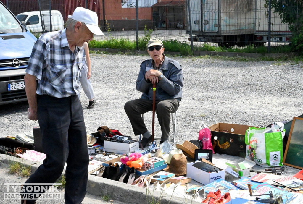 Pchli Targ w Tarnobrzegu - czerwiec 2025