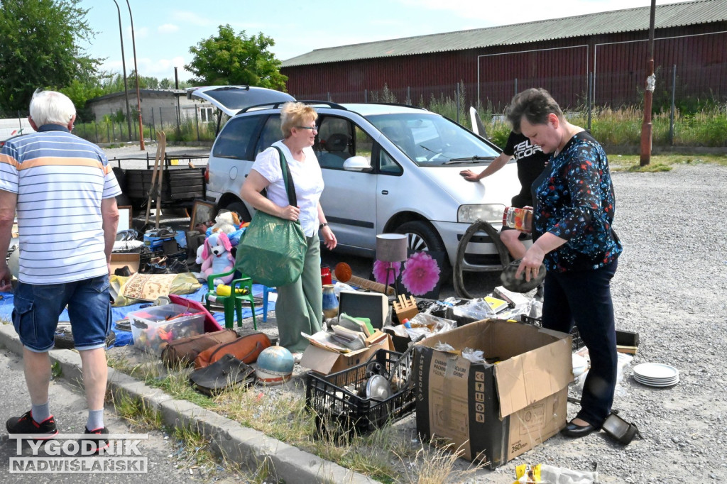 Pchli Targ w Tarnobrzegu - czerwiec 2025