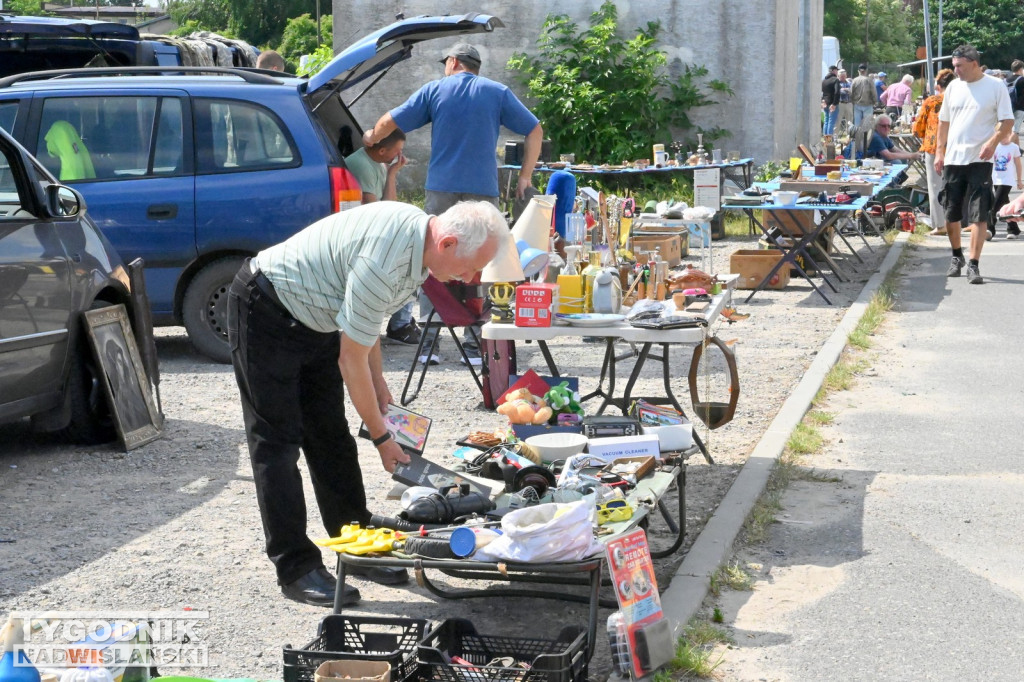 Pchli Targ w Tarnobrzegu - czerwiec 2025