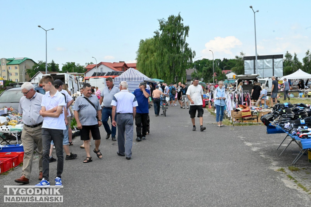 Pchli Targ w Tarnobrzegu - czerwiec 2025