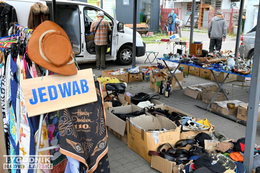 Pchli Targ w Tarnobrzegu - czerwiec 2025