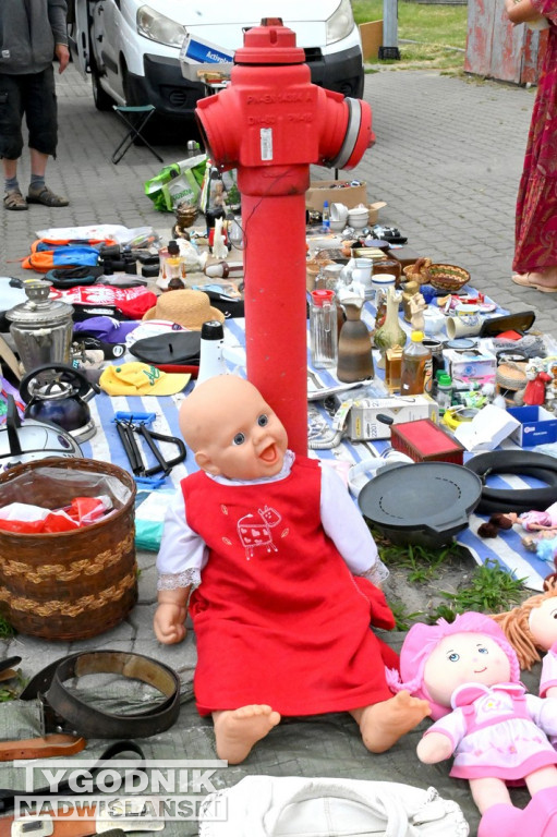 Pchli Targ w Tarnobrzegu - czerwiec 2025