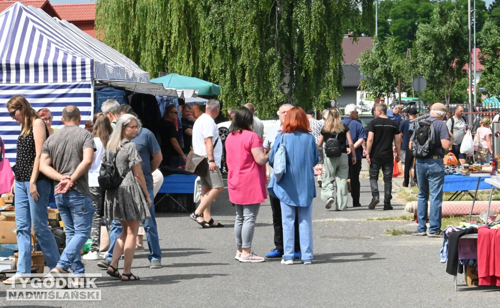 Pchli Targ w Tarnobrzegu - czerwiec 2025