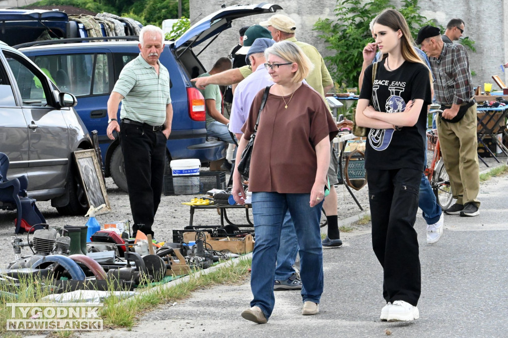 Pchli Targ w Tarnobrzegu - czerwiec 2025