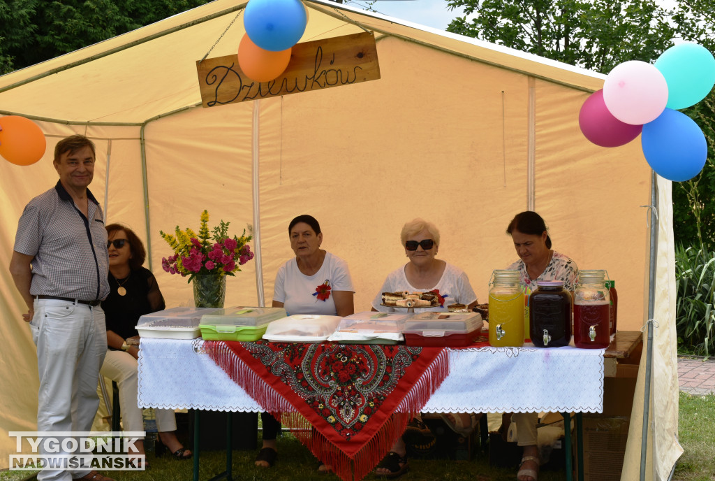 XIII Piknik Rycerski w Ossolinie