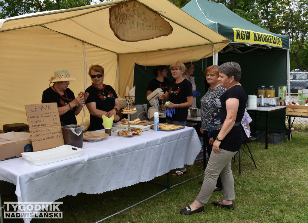 XIII Piknik Rycerski w Ossolinie
