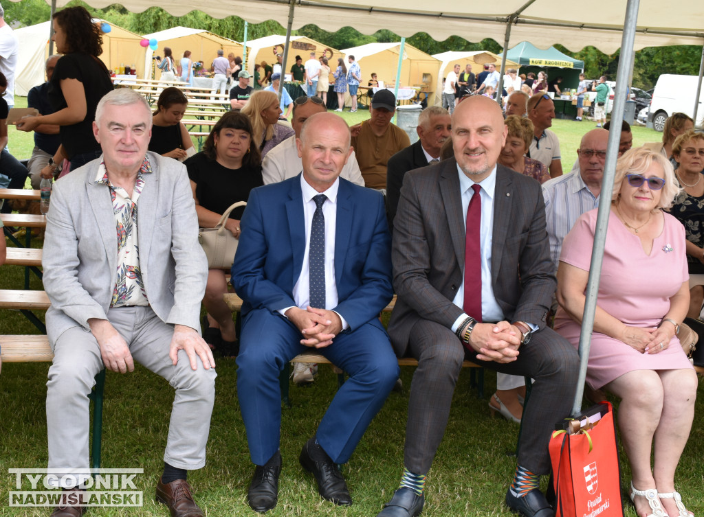 XIII Piknik Rycerski w Ossolinie
