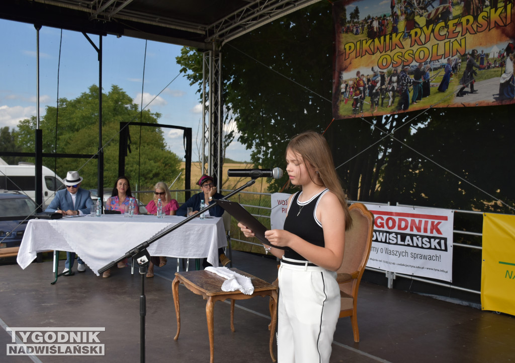 XIII Piknik Rycerski w Ossolinie
