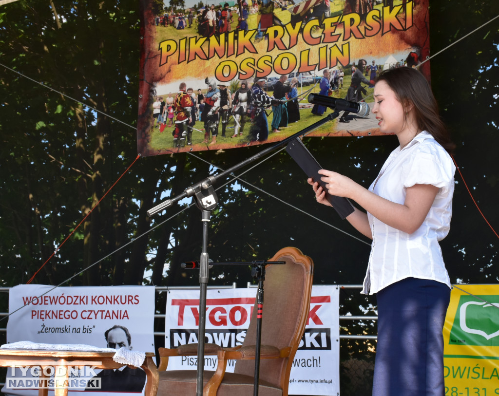 XIII Piknik Rycerski w Ossolinie