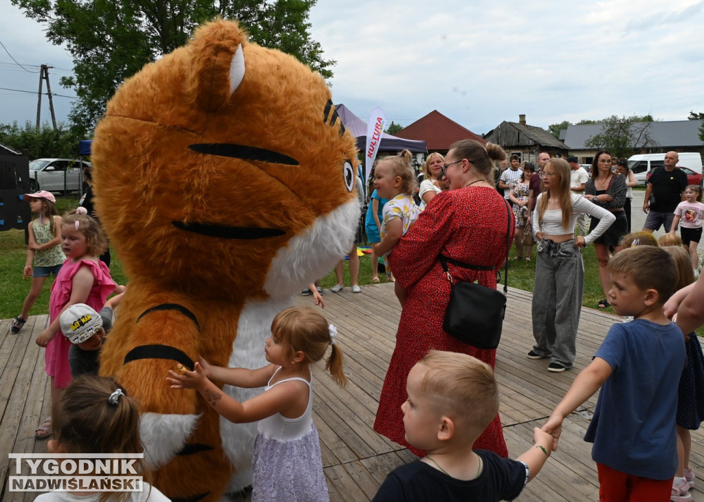 Wianki w Ciszycy 2025