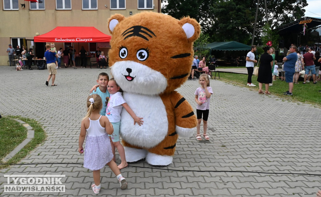 Wianki w Ciszycy 2025