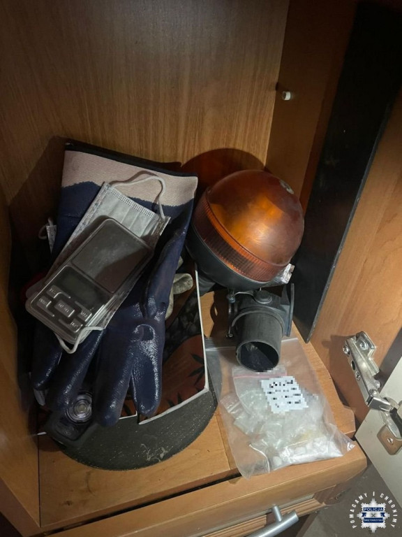 Zlikwidowano nieleganą plantację