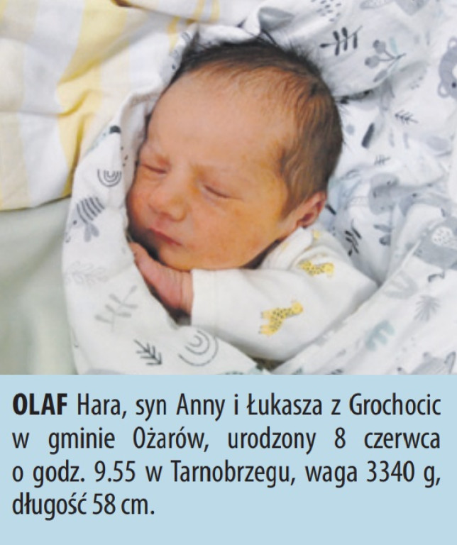Zobacz dzieci urodzonych w naszych szpitalach