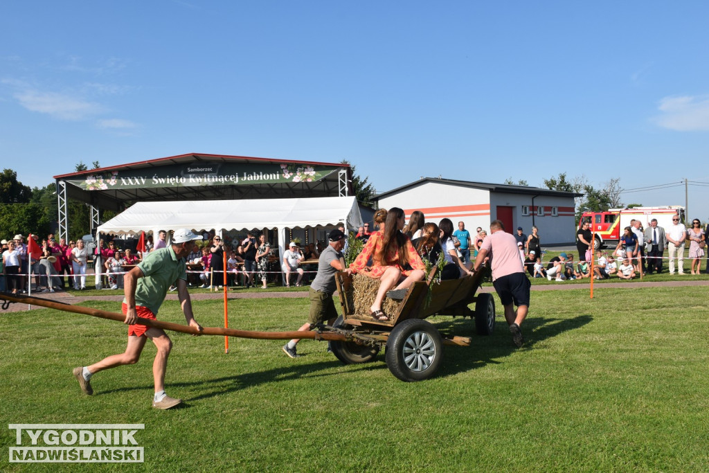 III Festiwal Kół Gospodyń Wiejskich