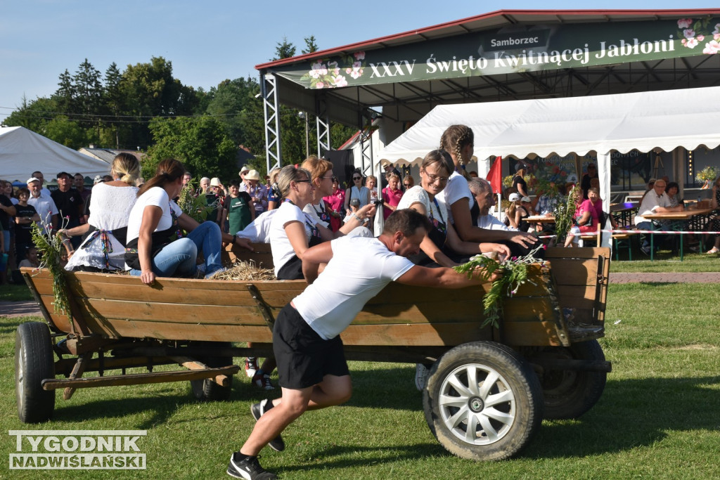 III Festiwal Kół Gospodyń Wiejskich
