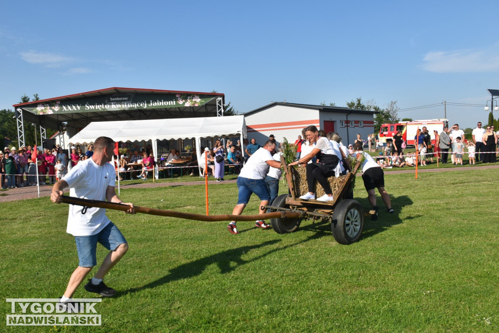 III Festiwal Kół Gospodyń Wiejskich