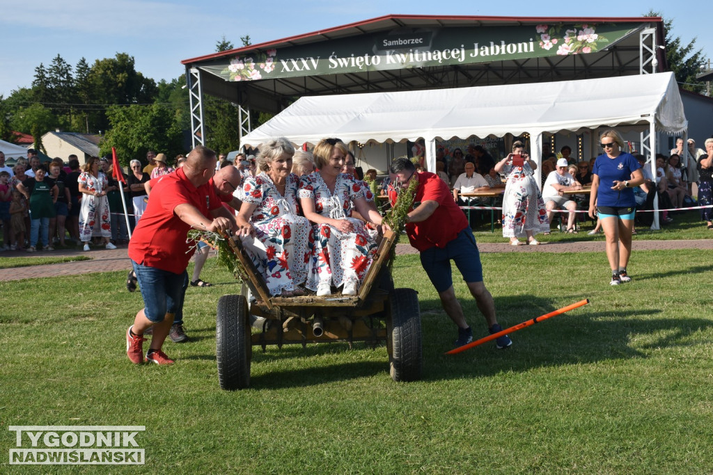 III Festiwal Kół Gospodyń Wiejskich