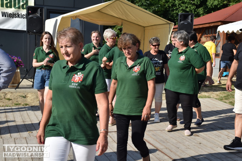 Olimpiada Kół Gospodyń Wiejskich w Śniekozach
