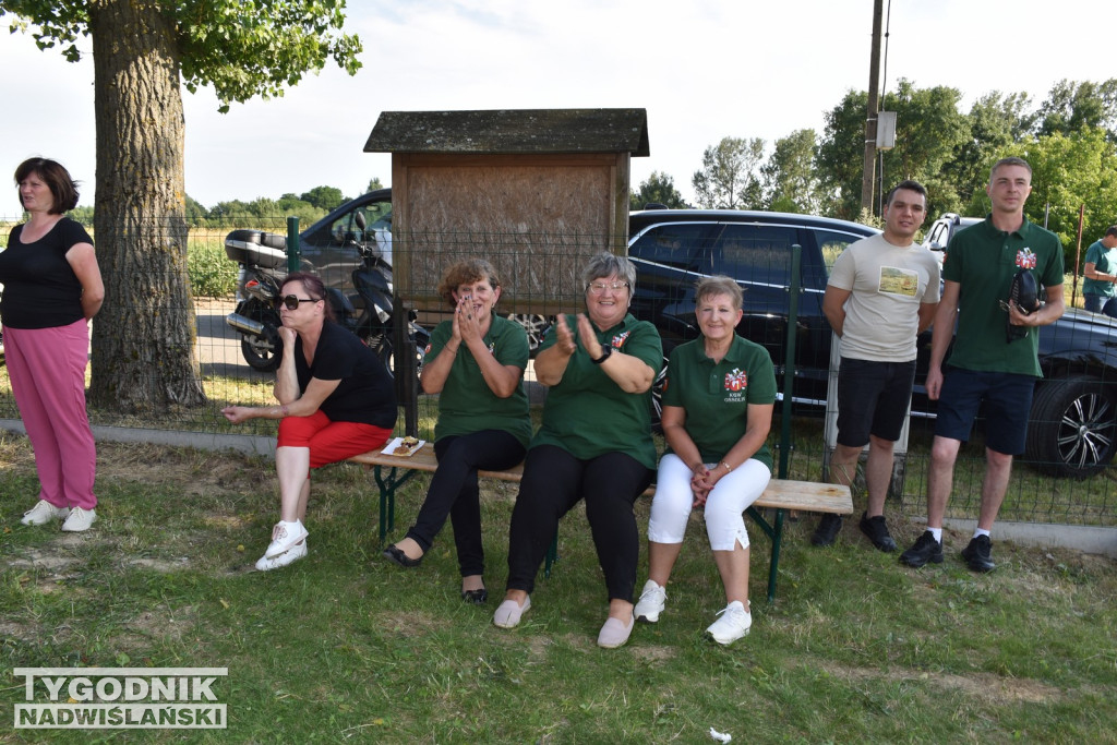 Olimpiada Kół Gospodyń Wiejskich w Śniekozach
