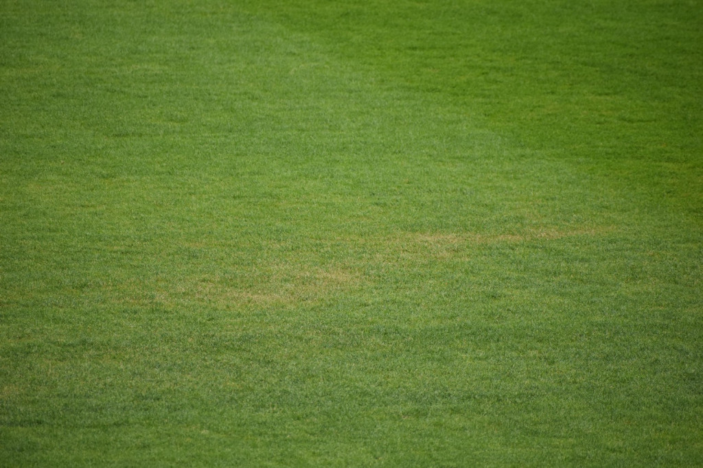 Żółte plamy na stadionie Siarki