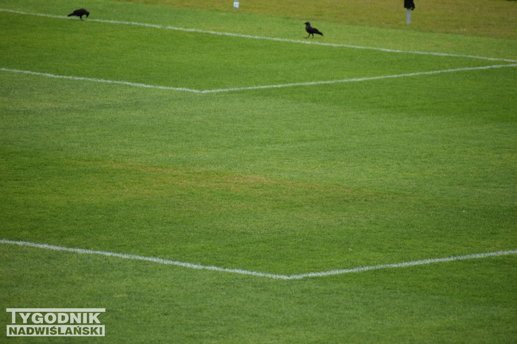 Żółte plamy na stadionie Siarki