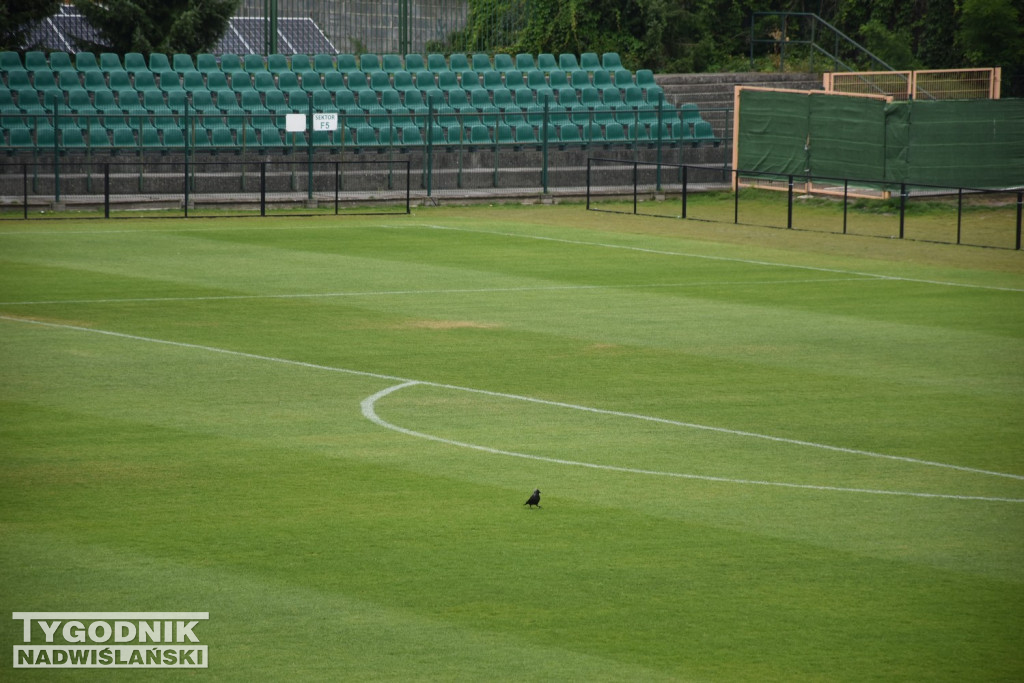 Żółte plamy na stadionie Siarki