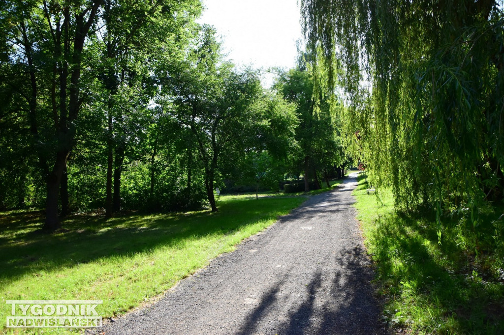 Spacer badawczy w Tarnobrzegu