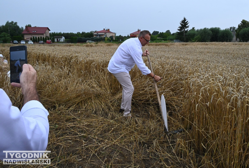 Staropolskie Żniwa 2025 w Sandomierzu