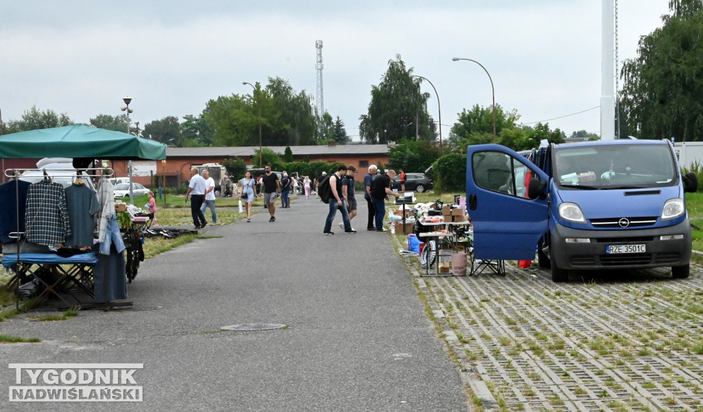 Pchli Targ w Tarnobrzegu - lipiec 2025