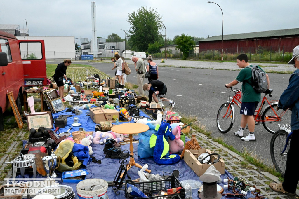 Pchli Targ w Tarnobrzegu - lipiec 2025