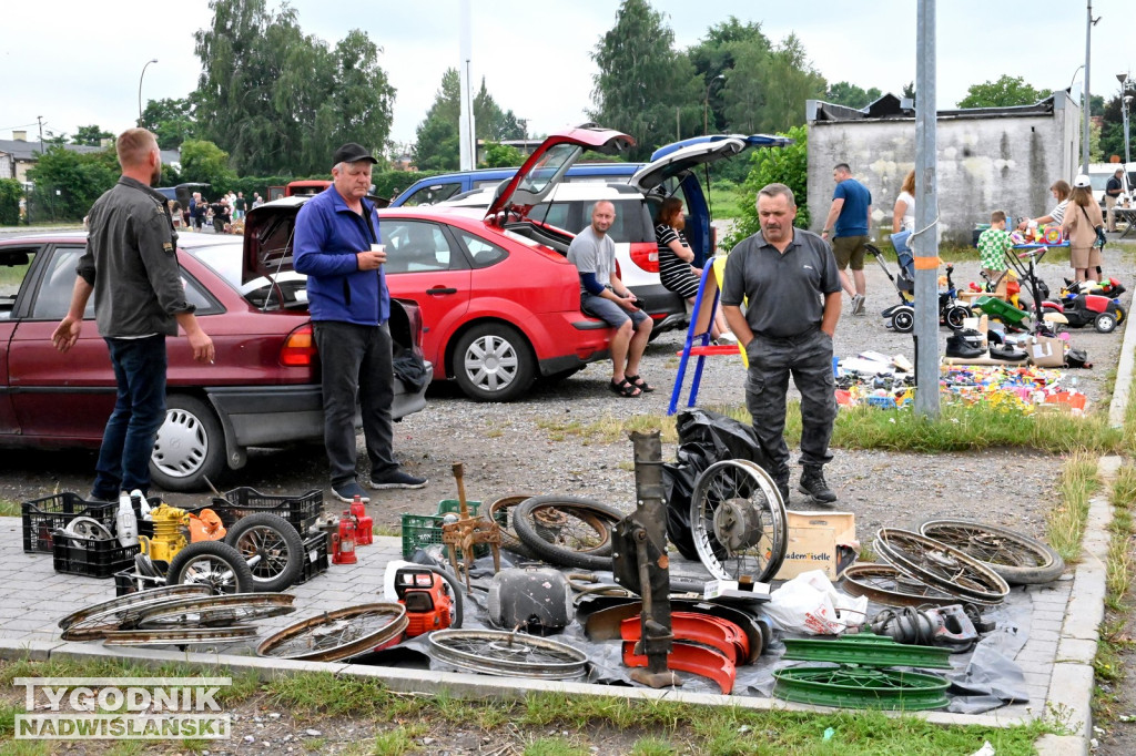 Pchli Targ w Tarnobrzegu - lipiec 2025