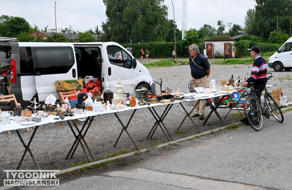 Pchli Targ w Tarnobrzegu - lipiec 2025