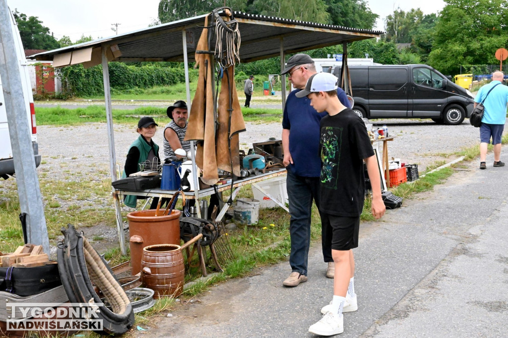 Pchli Targ w Tarnobrzegu - lipiec 2025