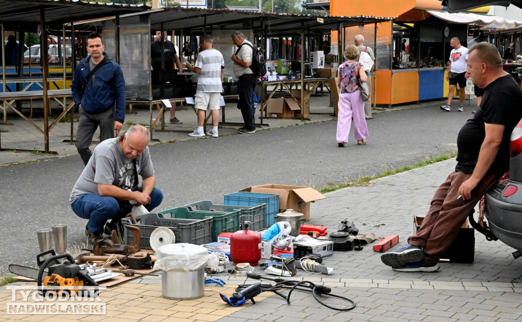 Pchli Targ w Tarnobrzegu - lipiec 2025