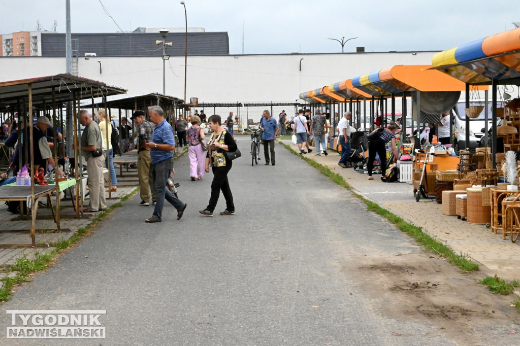 Pchli Targ w Tarnobrzegu - lipiec 2025