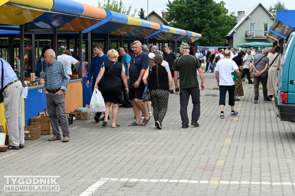 Pchli Targ w Tarnobrzegu - lipiec 2025