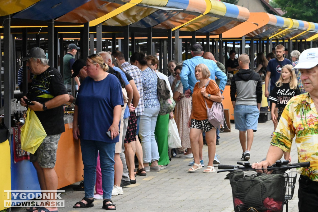Pchli Targ w Tarnobrzegu - lipiec 2025