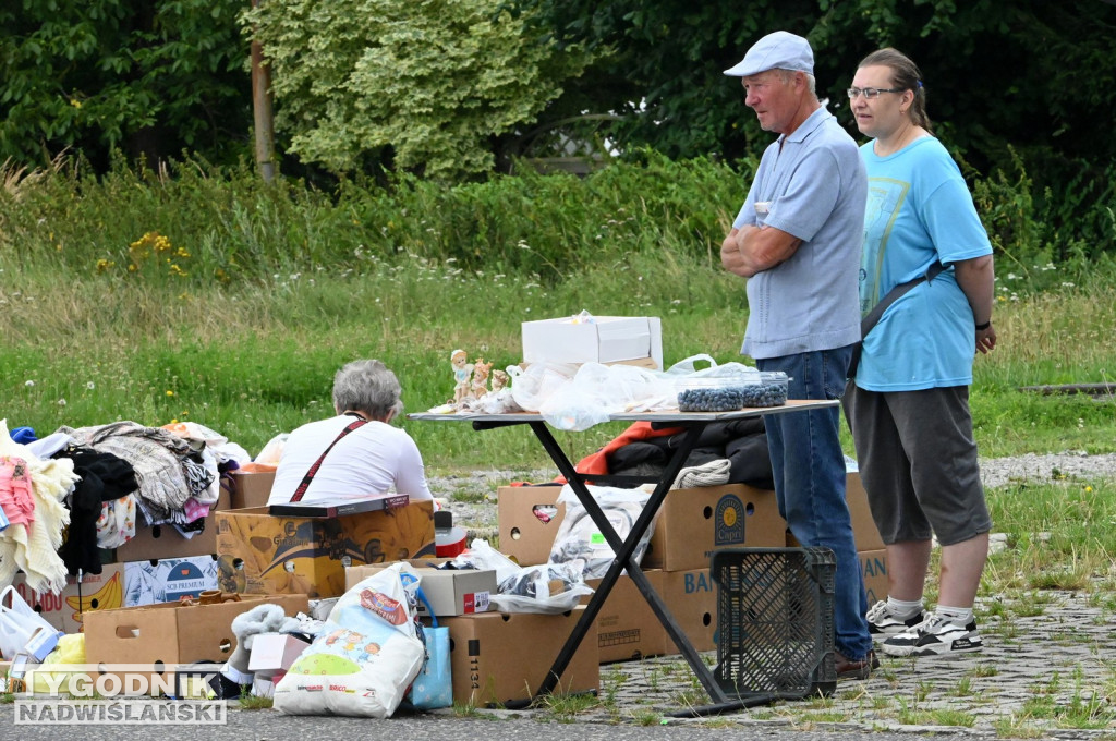 Pchli Targ w Tarnobrzegu - lipiec 2025