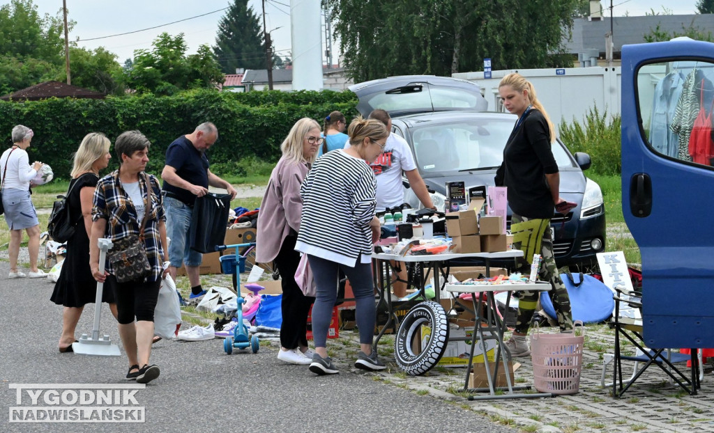Pchli Targ w Tarnobrzegu - lipiec 2025