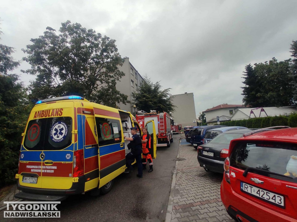Gaz w piwnicy bloku w Tarnobrzegu