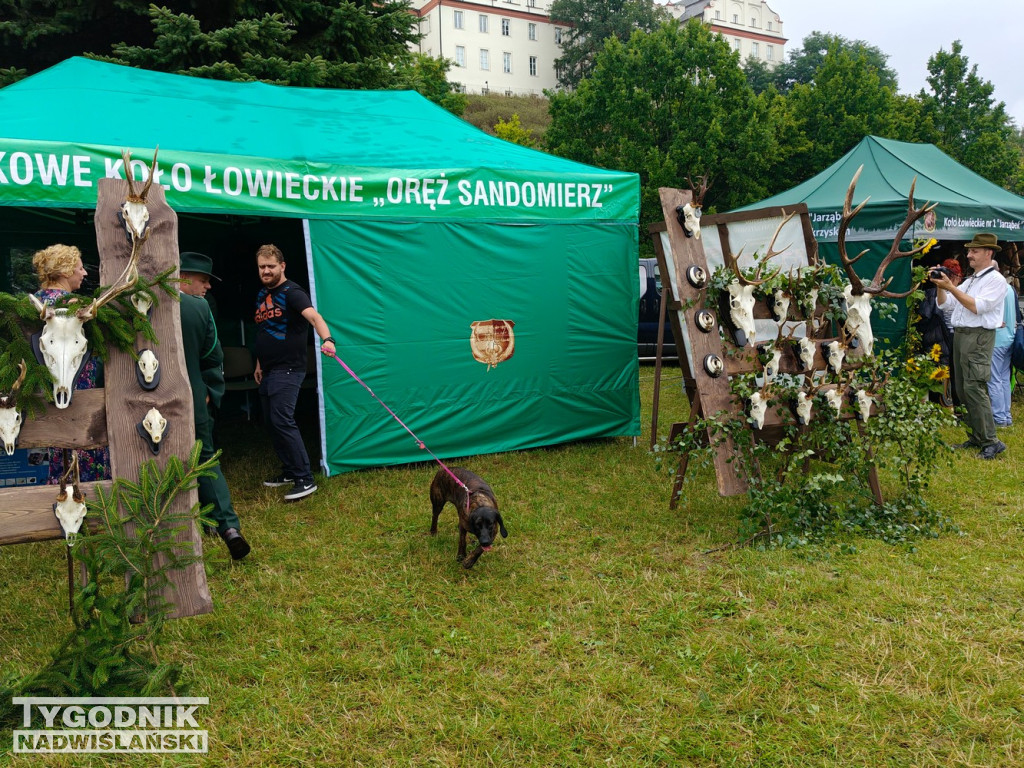 Powiatowe Sandomierskie Święto Miodu i Dziczyzny