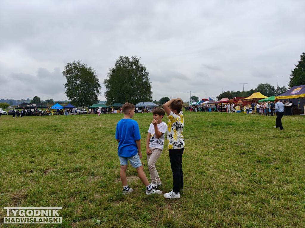 Powiatowe Sandomierskie Święto Miodu i Dziczyzny